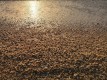 IMG_20181101_163518.jpg