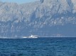 IMG_5278.JPG
