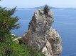 IMG_8523.JPG