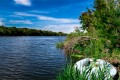 _MG_4840.JPG