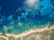 barche_area_capo_coda_cavallo_1.jpg