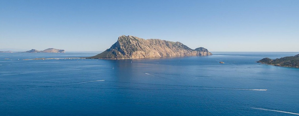 Riseva Marina della Tavolara