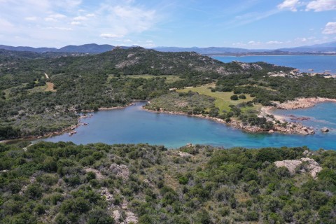 DJI_0391-min.JPG