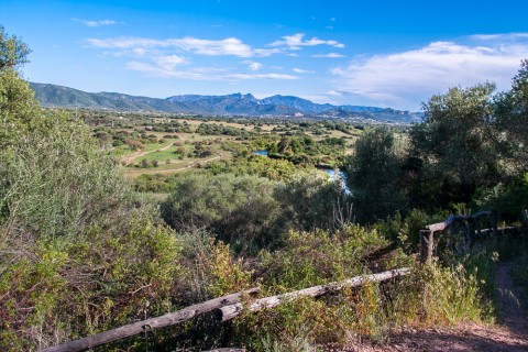 _MG_4906.JPG