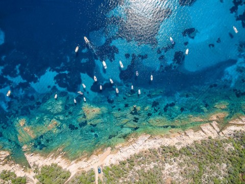 barche_area_capo_coda_cavallo_1.jpg